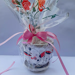 Саксия с подаръчна опаковка