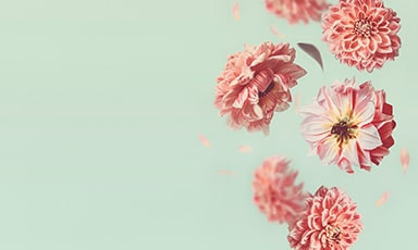 flowers banner medium bottom